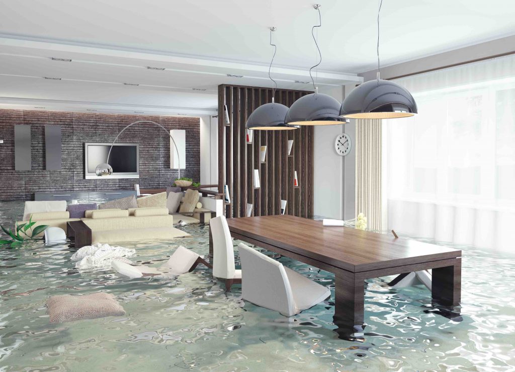 Flood Damage & Remediation