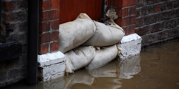 Sewage Cleaning Services