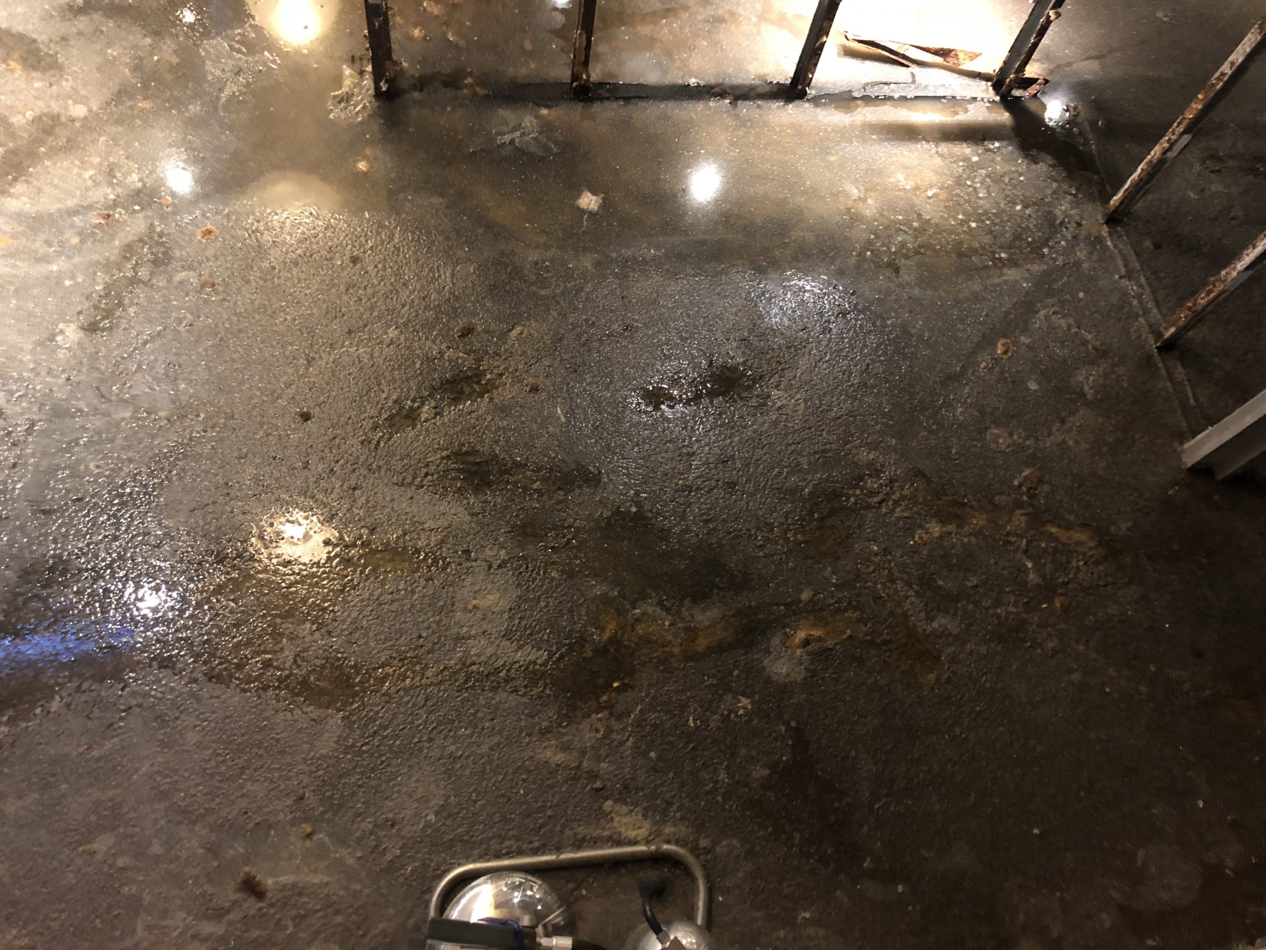 Sewage Spill in Property showing a wet concrete floor.