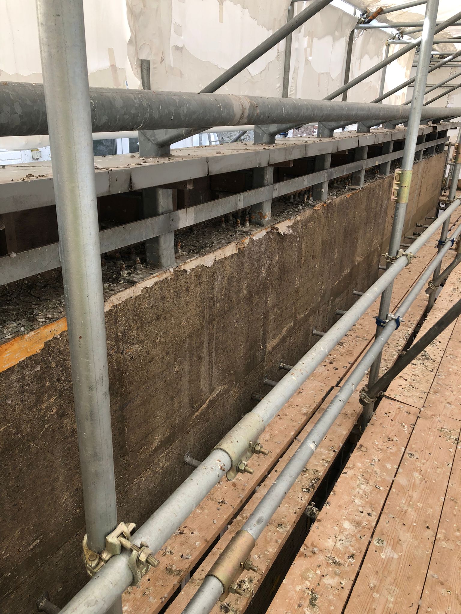 Guano Cleaning - Bird Dropping Removal