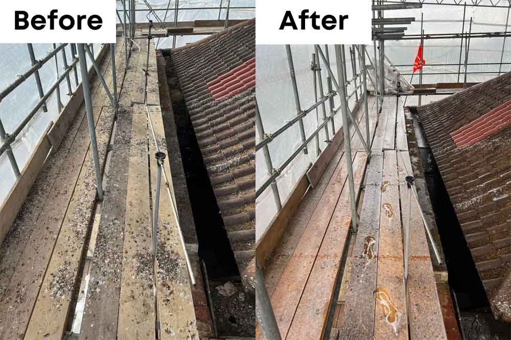Guano Cleaning - Before & After