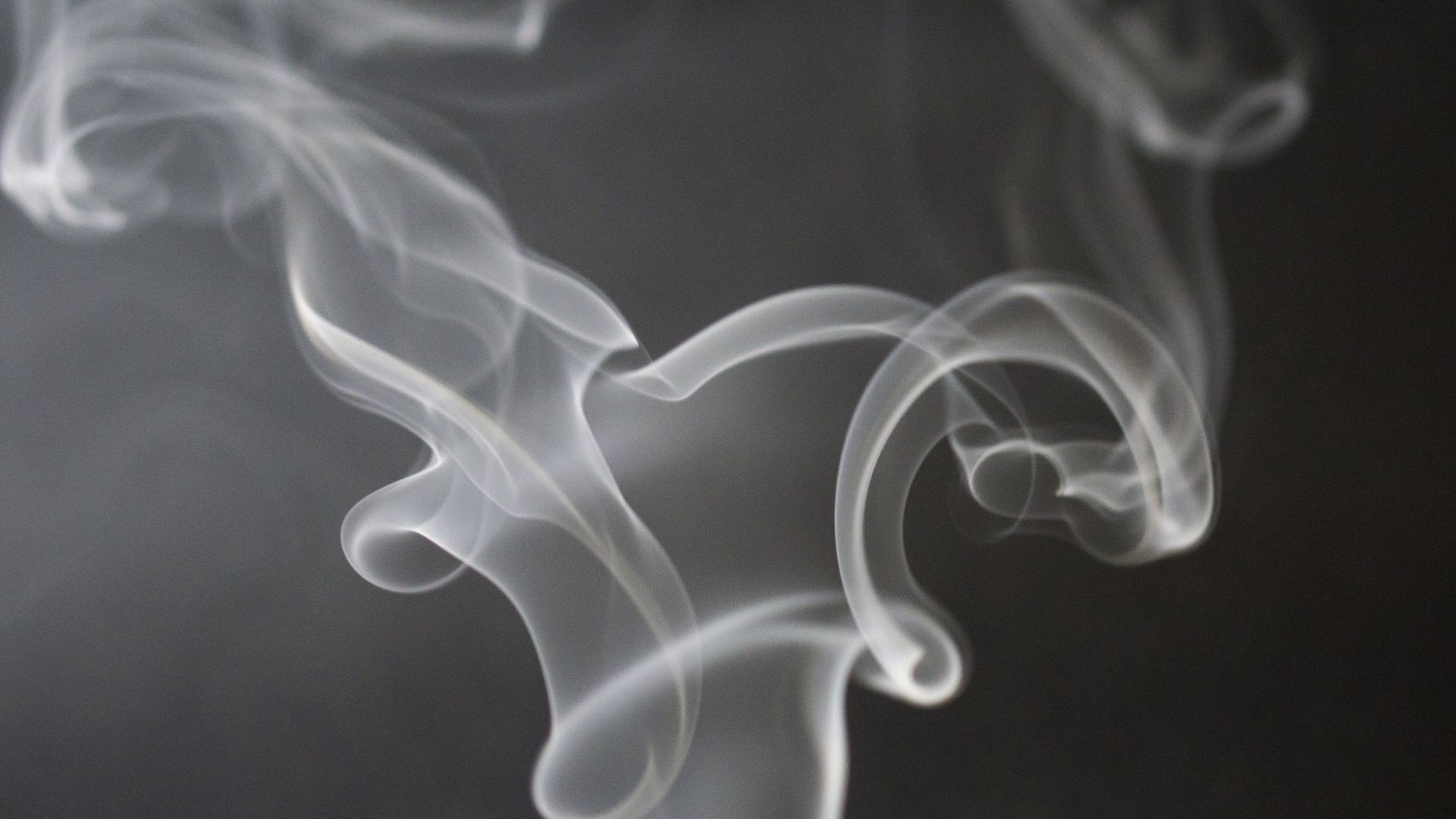 How To Get Rid Of The Smoke Smell After A Fire in Your Business Or Home