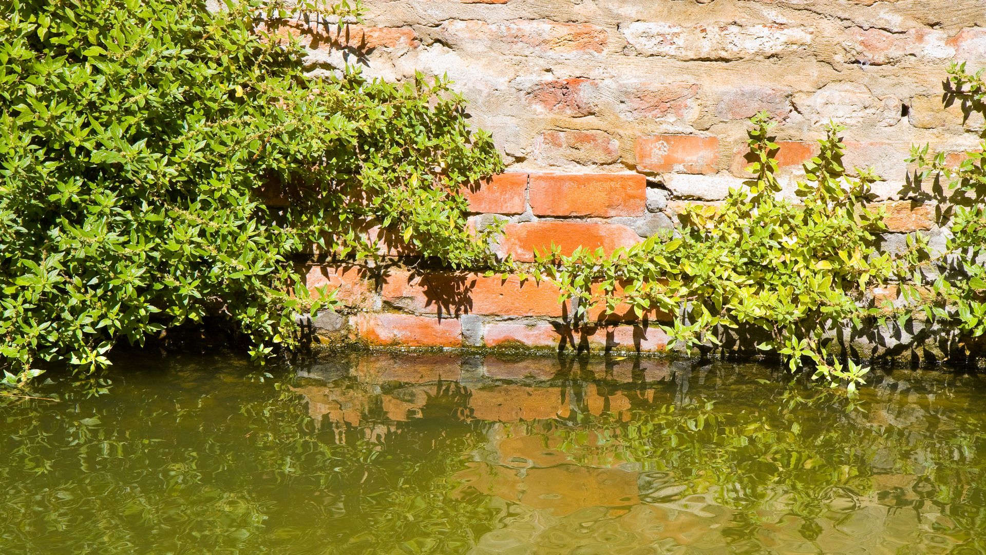 How To Dry Out a Wall After Water Damage Vinci Response